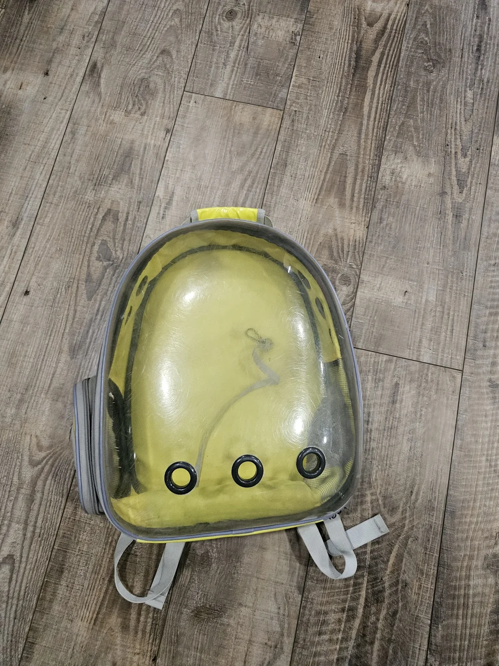 Lollimeow Cat Carrier For Planes Travel Backpack Bubble *Worn, Need Cleaned*